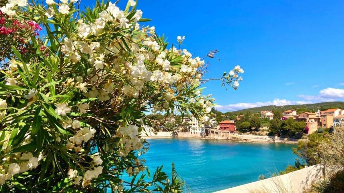 Superbe Appartement En Bord De Mer Bandol Bagian luar foto