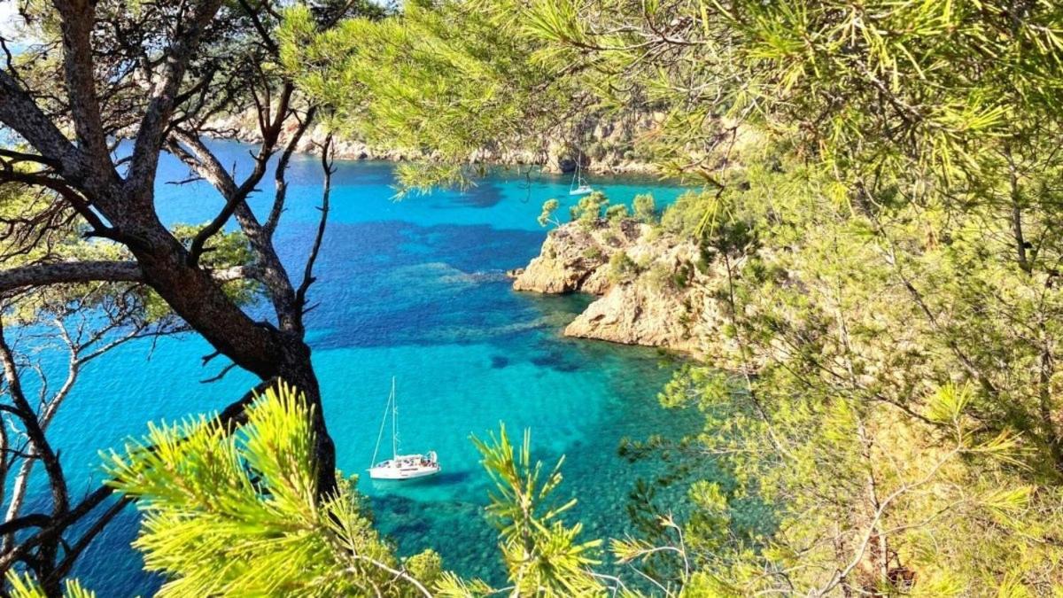 Superbe Appartement En Bord De Mer Bandol Bagian luar foto